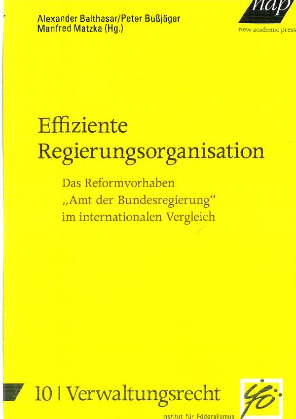 Effiziente Regierungsorganisation. Das Reformvorhaben „Amt der Bundesregierung“ im internationalen Vergleich